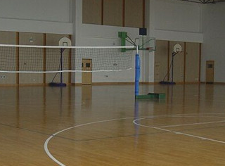 實(shí)木運(yùn)動地板 實(shí)木運(yùn)動地板