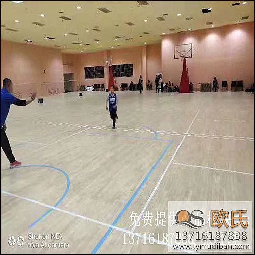 籃球館體育實(shí)木地板,籃球運(yùn)動(dòng)實(shí)木地板,運(yùn)動(dòng)體育木地板 籃球館體育實(shí)木地板,籃球運(yùn)動(dòng)實(shí)木地板,運(yùn)動(dòng)體育木地板