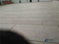 單龍骨體育場館木地板清潔保養