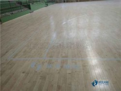 實木運動籃球地板維護(hù)保養(yǎng)