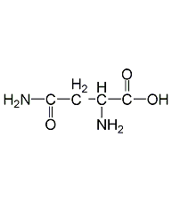 L-(+)-無(wú)水天冬酰胺結構式
